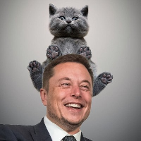 ELON CAT COIN