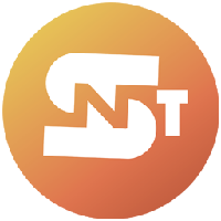 Share NFT Token